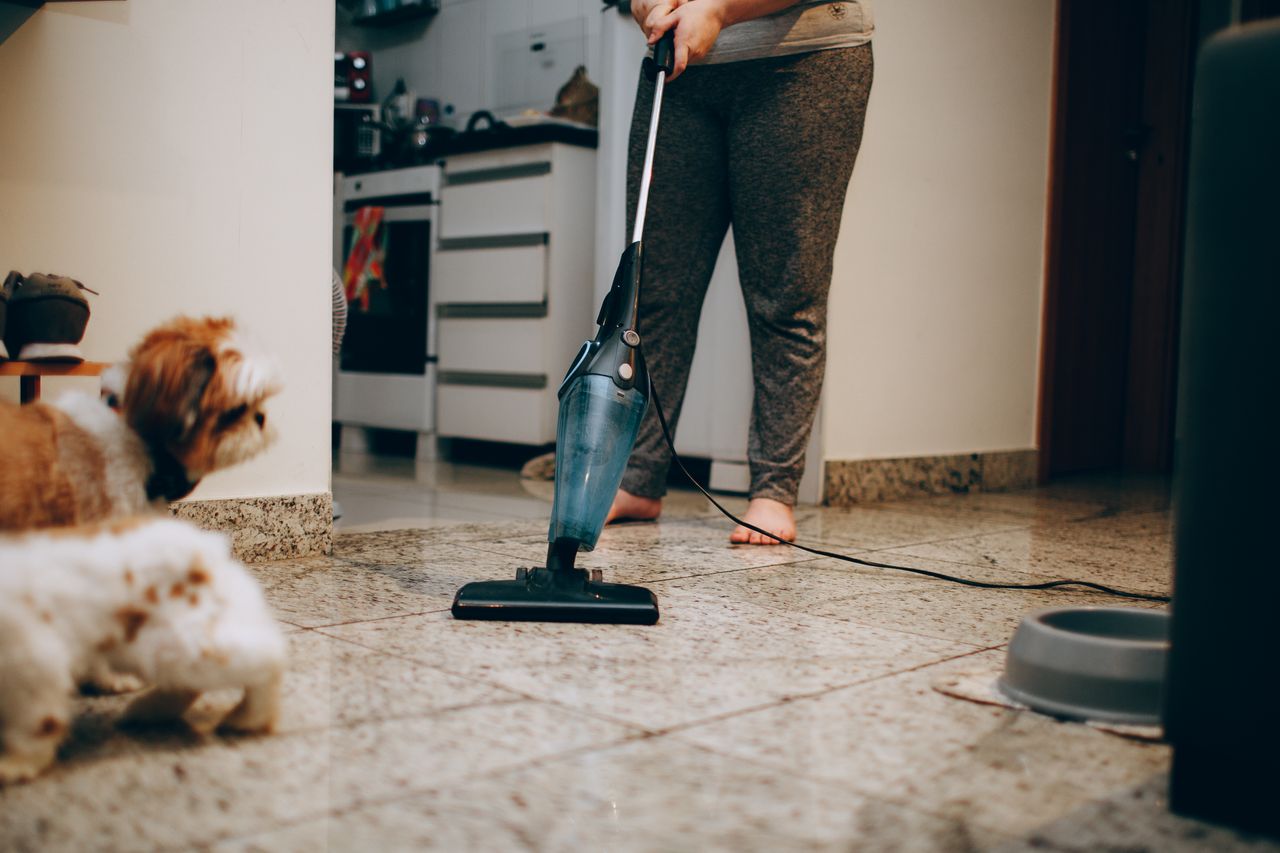 services-04 A woman cleaning the floor with a vacuum cleaner while a dog watches attentively. Indoor home setting.
